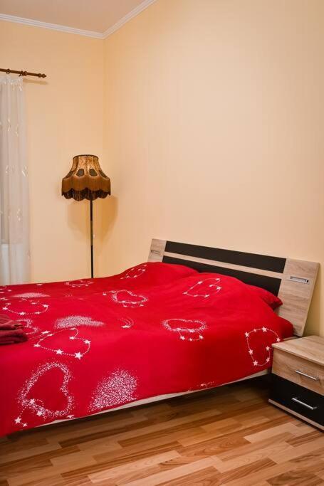 Casa Max Apartment Timisoara Bagian luar foto