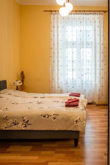Casa Max Apartment Timisoara Bagian luar foto
