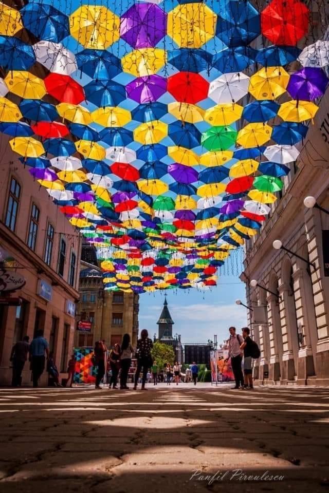 Casa Max Apartment Timisoara Bagian luar foto